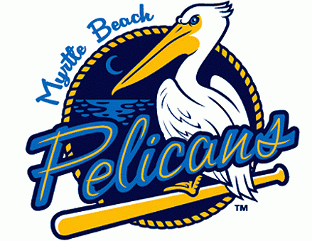 Myrtle Beach Pelicans iron ons